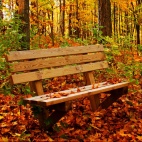 Prawdziwa miłość nie zna granic